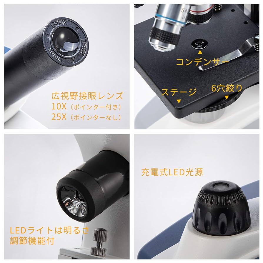 生物顕微鏡 SWIFT SW200DL 40X-倍1000倍 Amazon.co.jp: SWIFT SW200DL 人気 小学生用顕微鏡 40X-1000X